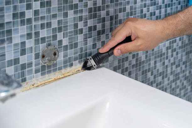 Best Mold Remediation  in Carrollton, GA