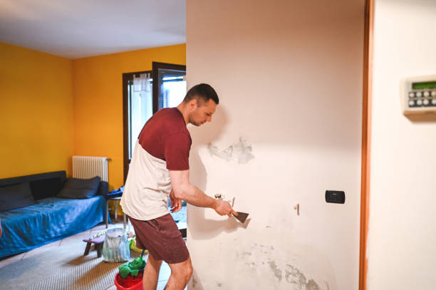Best Attic Mold Removal  in Carrollton, GA